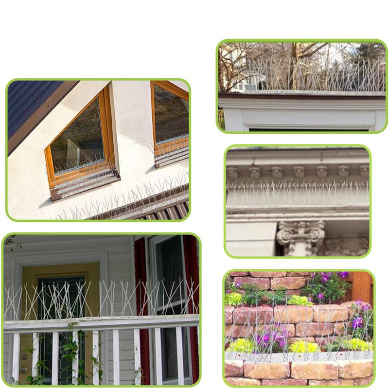 Stainless Steel Bird Spikes 2P - Smart Garden Fence ulasan dan harga