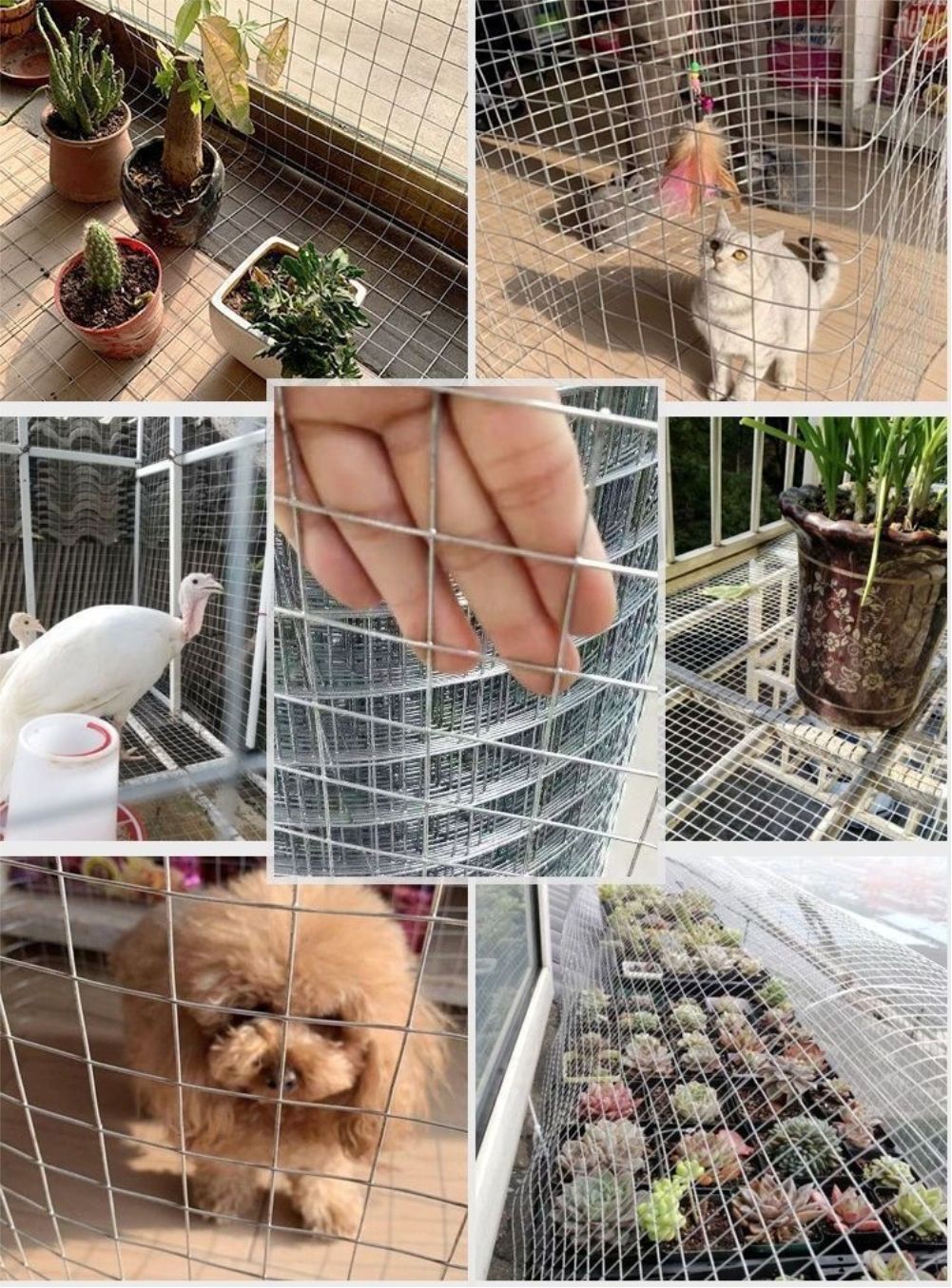 Hot Dip Galvanized Breeding We - Smart Garden Fence ulasan dan harga