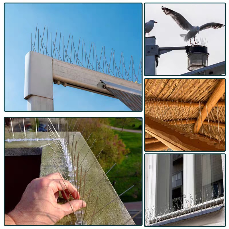 10/1x Pigeon Spikes Deterrent  - Smart Garden Fence ulasan dan harga