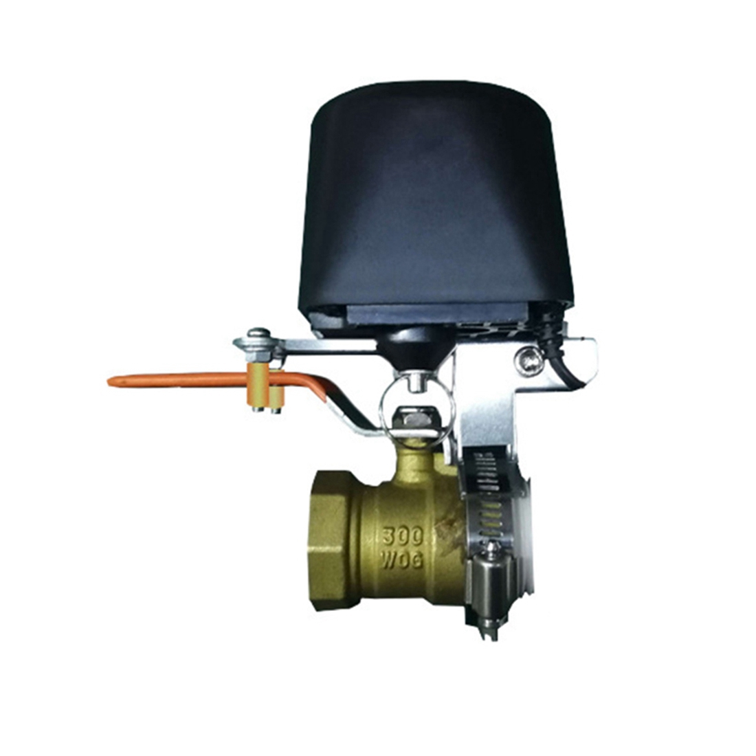 (A02R] Tuya Smart WiFi Water V - Smart Gardening ulasan dan harga